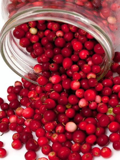 Cranberry Agrodolce - oilvinegar.ch